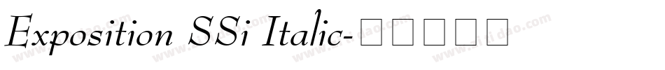 Exposition SSi Italic字体转换